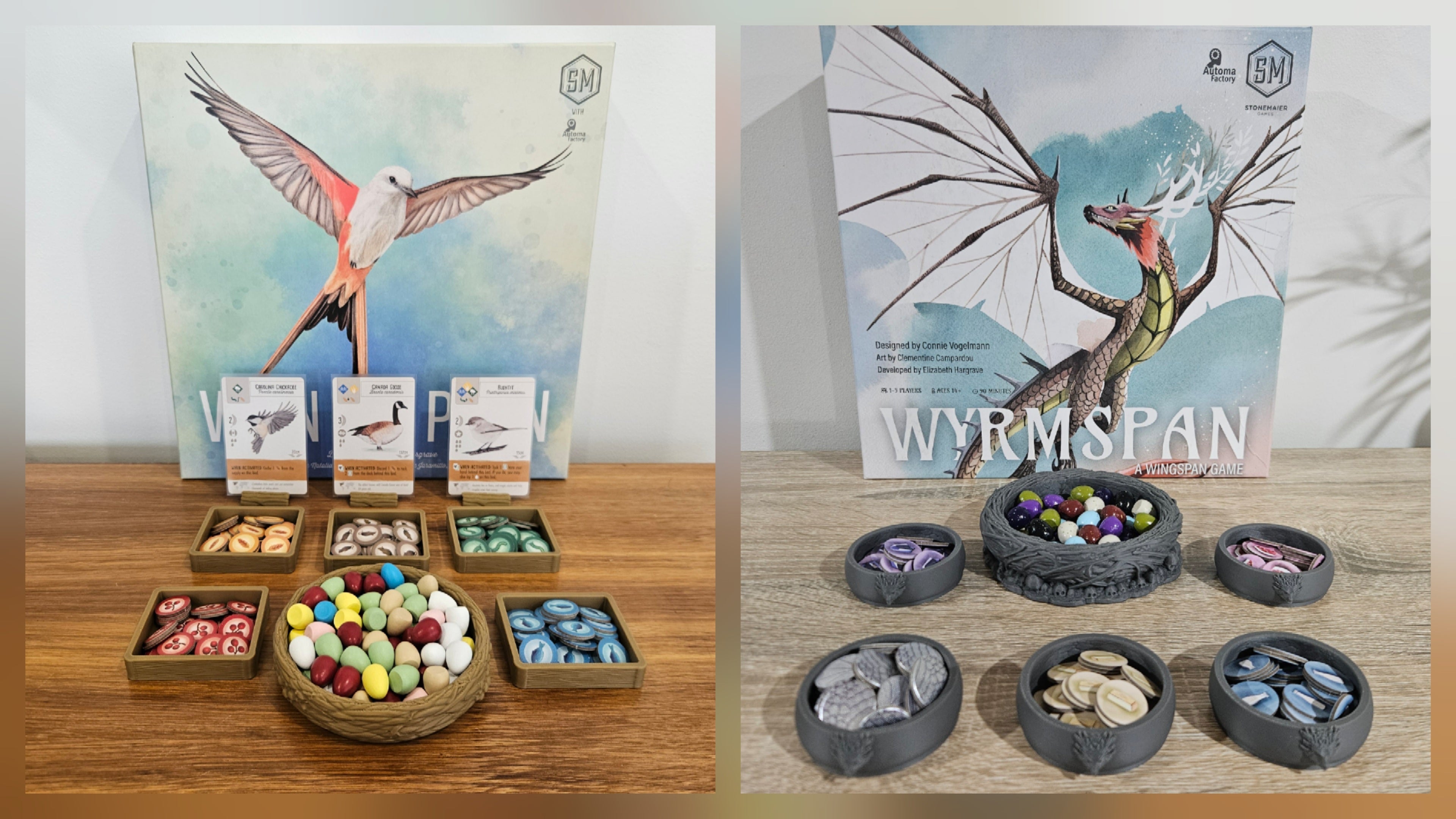 Wingspan vs Wyrmspan — Which Should You Buy First?